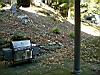 2004-10-13_Autumn-horseback 360.JPG